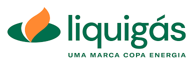 Grupo corporativo